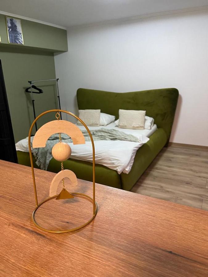 Magic Green Studio Hunedoara Apartment Bagian luar foto