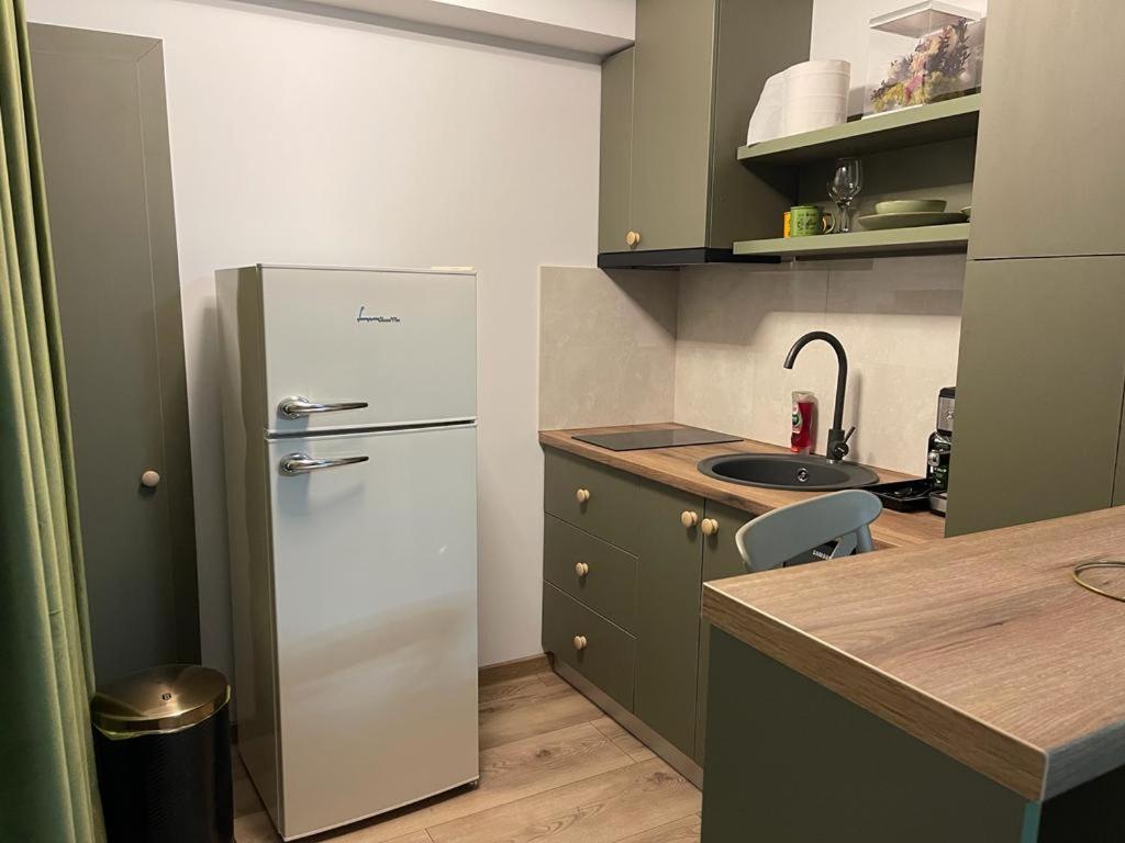 Magic Green Studio Hunedoara Apartment Bagian luar foto