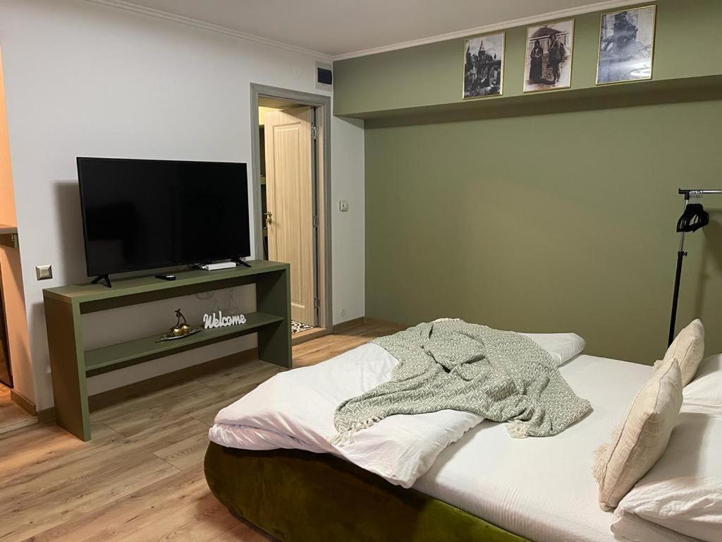 Magic Green Studio Hunedoara Apartment Bagian luar foto